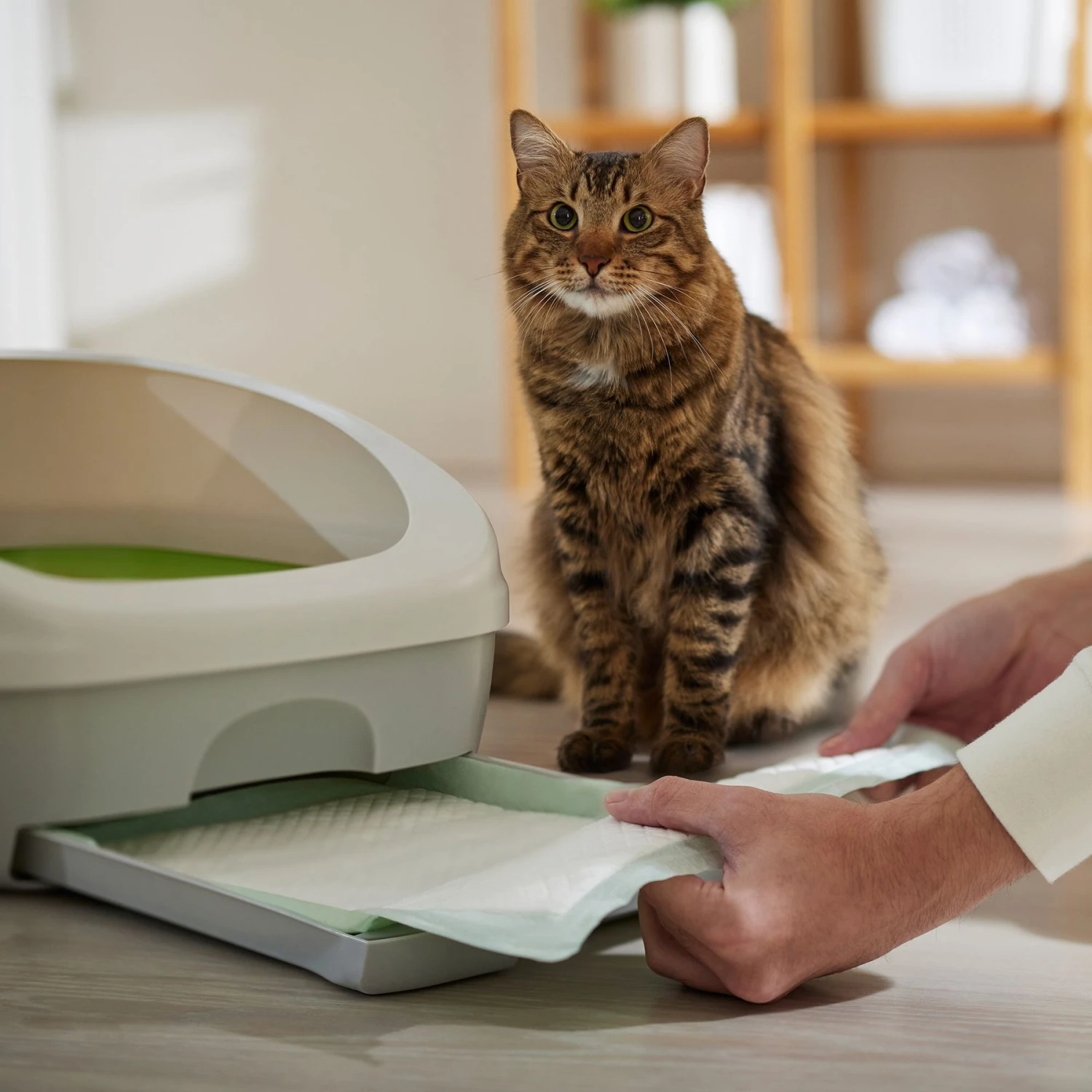 Frisco Cat Litter Pads, Unscented 8 Frisco Cat Litter Pads, Unscented - Image 6