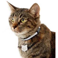 Frisco Stainless Steel Personalized Cat ID Tag, Cat 9 Frisco Stainless Steel Personalized Cat ID Tag, Cat -Frisco 153043 PT5. AC SS1800 V1540560131