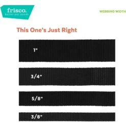 Frisco Pineapple Polyester Breakaway Cat Collar With Bell -Frisco 153158 PT6. AC SS1800 V1629992814