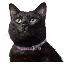 Frisco Rose Polyester Breakaway Cat Collar With Bell 11 Frisco Rose Polyester Breakaway Cat Collar With Bell -Frisco 153160 PT3. AC SS1800 V1701796877