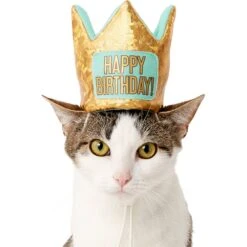 Frisco Happy Birthday Dog & Cat Crown -Frisco 153665 PT2. AC SS1800 V1551230979