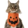 Frisco Jack O' Lantern Pumpkin Dog & Cat Bandana 2 Frisco Jack O' Lantern Pumpkin Dog & Cat Bandana -Frisco 158934 MAIN. AC SS1800 V1669148132