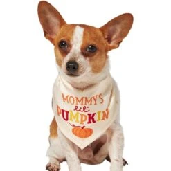 Frisco Mommy's Lil Pumpkin Dog & Cat Bandana -Frisco 158936 PT2. AC SS1800 V1689629423
