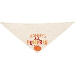 Frisco Mommy's Lil Pumpkin Dog & Cat Bandana -Frisco 158936 PT3. AC SS1800 V1689628812