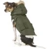 Frisco Mid-Heavyweight Portland Insulated Dog & Cat Parka -Frisco 160295 MAIN. AC SS1800 V1566999745