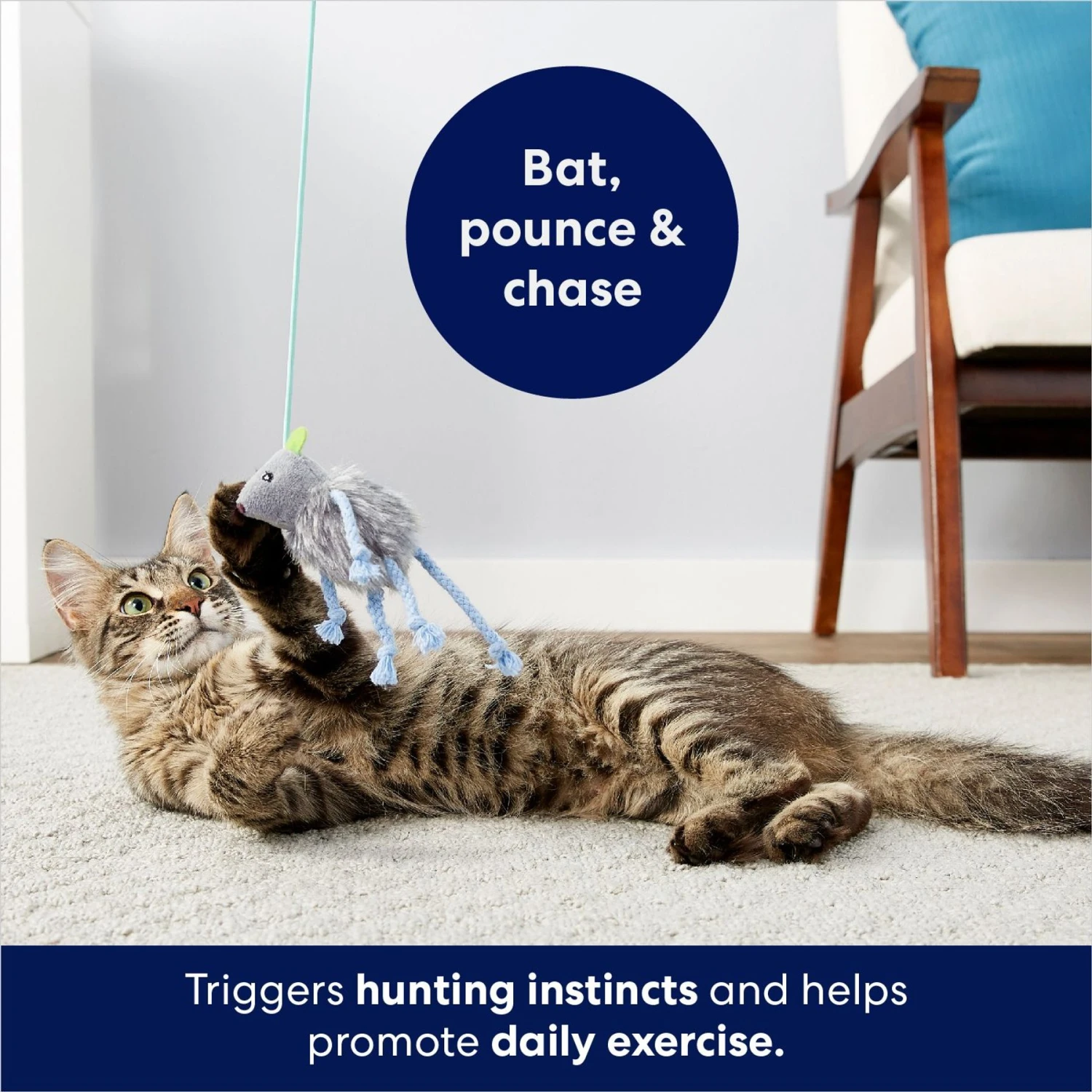 Frisco Bouncy Mouse Plush Teaser Cat Toy With Catnip 6 Frisco Bouncy Mouse Plush Teaser Cat Toy With Catnip - Image 4