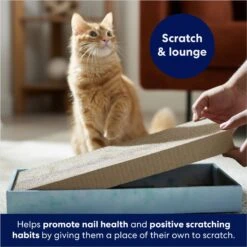 Frisco Double-Wide Cat Scratcher Toy Refill With Catnip, 2 Count -Frisco 174800 PT3. AC SS1800 V1678723850