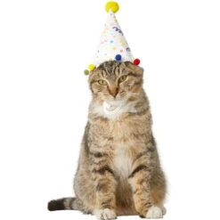 Frisco Confetti Dog & Cat Birthday Hat 10 Frisco Confetti Dog & Cat Birthday Hat -Frisco 191274 PT2. AC SS1800 V1582053206