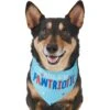 Frisco Pawtriot Dog & Cat Bandana 1 Frisco Pawtriot Dog & Cat Bandana -Frisco 191277 Main. AC SS1800 V1584623866