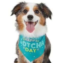 Frisco Happy Gotcha Day Dog & Cat Bandana