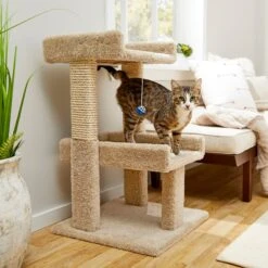 Frisco 24 Frisco 32-in Real Carpet Wooden Cat Tree With Toy