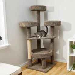 Frisco 26 Frisco 65-in Real Carpet Scratch And Lounge Cat Tree