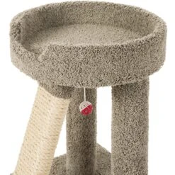 Frisco 24-in Real Carpet Cat Scratching Perch With Toy 8 Frisco 24-in Real Carpet Cat Scratching Perch With Toy -Frisco 208960 PT3. AC SS1800 V1589221651
