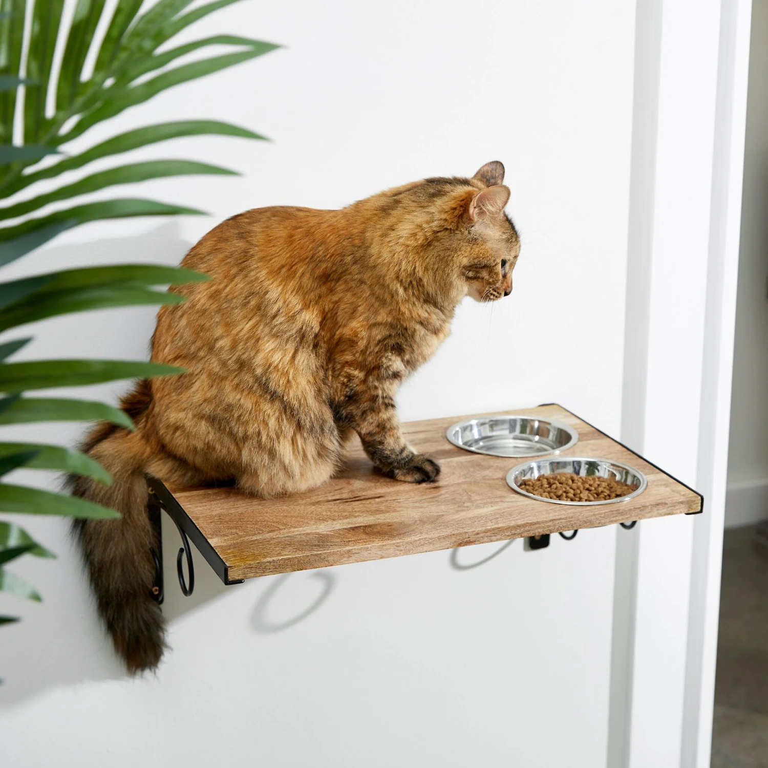 Frisco Wooden Wall Mounted Stainless Steel Cat Feeding Station With Bowl 3 Frisco Wooden Wall Mounted Stainless Steel Cat Feeding Station With Bowl
