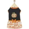 Frisco Pumpkin Patch Cutie Dog & Cat Dress 1 Frisco Pumpkin Patch Cutie Dog & Cat Dress -Frisco 215784 MAIN. AC SS1800 V1632424571