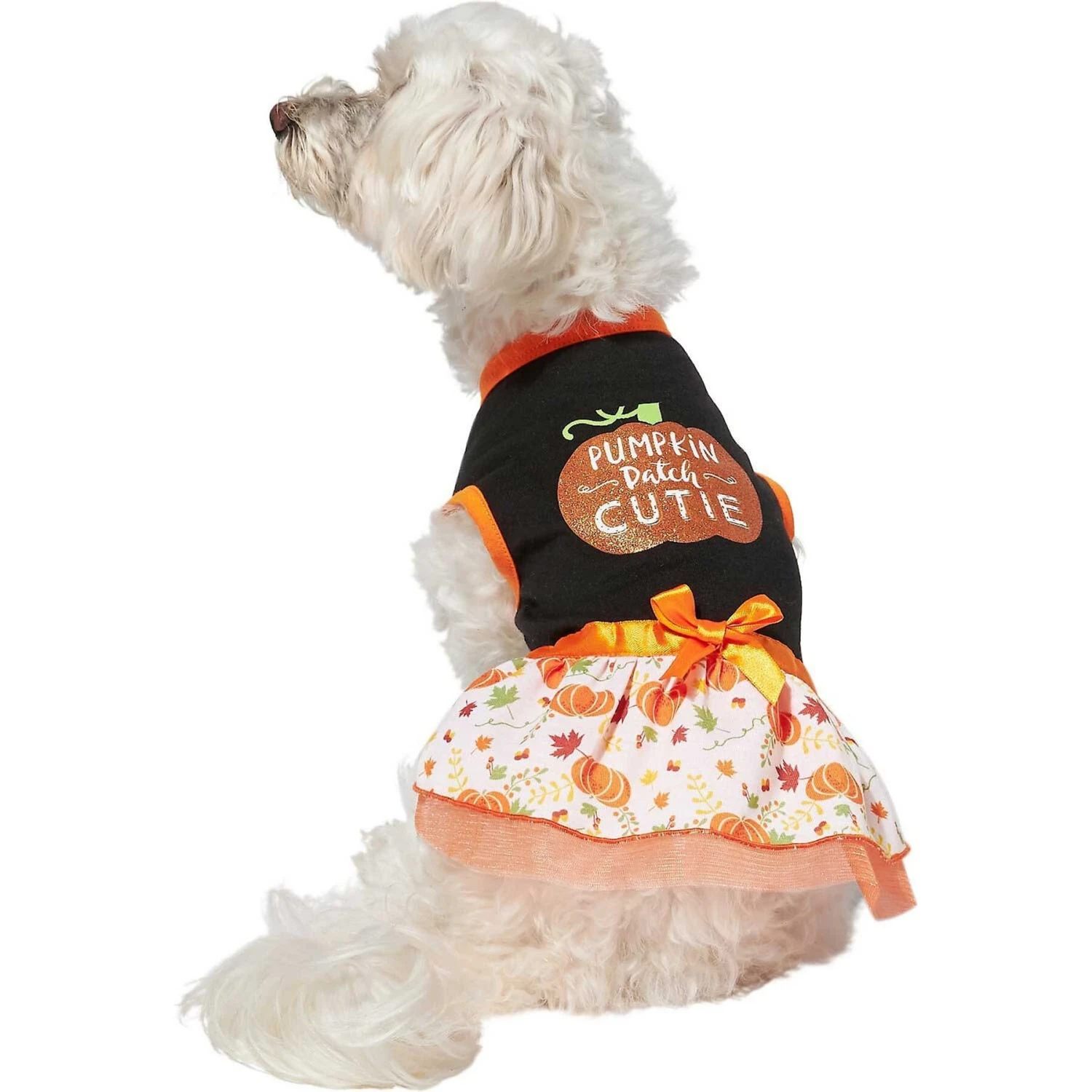 Frisco Pumpkin Patch Cutie Dog & Cat Dress 6 Frisco Pumpkin Patch Cutie Dog & Cat Dress - Image 4