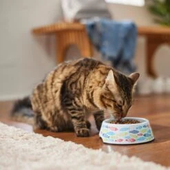 Frisco Colorful Fish Melamine Bowl 13 Frisco Colorful Fish Melamine Bowl -Frisco 216047 PT7. AC SS1800 V1633025238