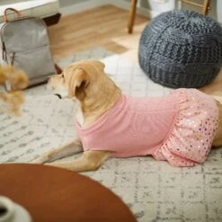 Frisco Cable Knit Dog & Cat Sweater Dress 13 Frisco Cable Knit Dog & Cat Sweater Dress -Frisco 223706 PT7. AC SS1800 V1599921696