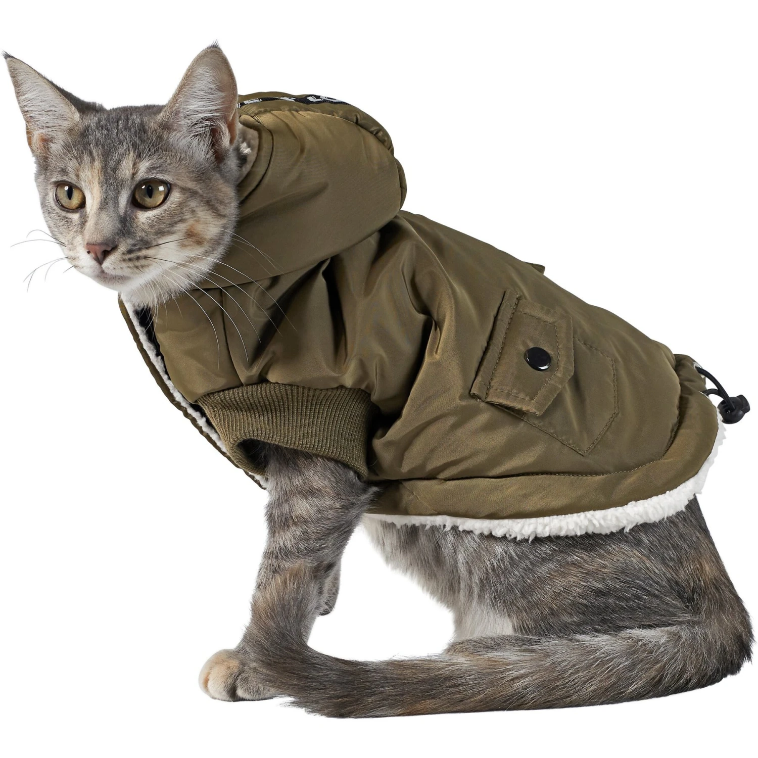 Frisco Mid-Heavyweight Love Insulated Dog & Cat Coat 5 Frisco Mid-Heavyweight Love Insulated Dog & Cat Coat - Image 3