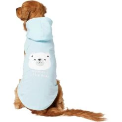 Frisco Mommy's Little Bear Dog & Cat Hoodie 12 Frisco Mommy's Little Bear Dog & Cat Hoodie -Frisco 224272 PT2. AC SS1800 V1637691116
