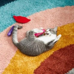 Frisco Retro Lip Gloss Plush Cat Toy With Catnip, 3 Count 7 Frisco Retro Lip Gloss Plush Cat Toy With Catnip, 3 Count -Frisco 230274 PT3. AC SS1800 V1602639773