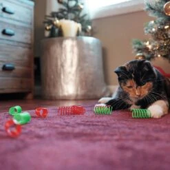 Frisco Holiday Springs Cat Toy, 10 Count 8 Frisco Holiday Springs Cat Toy, 10 Count -Frisco 233307 PT2. AC SS1800 V1602172363