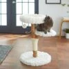 Frisco Natural Wood Modern Cat Tree With Toy, Ivory, Medium 2 Frisco Natural Wood Modern Cat Tree With Toy, Ivory, Medium -Frisco 236561 MAIN. AC SS1800 V1616521947