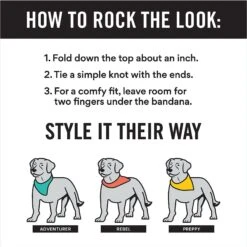 Frisco Hanukkah Personalized Dog & Cat Bandana -Frisco 242799 PT2. AC SS1800 V1618509758