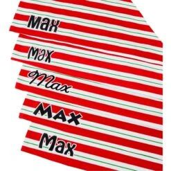 Frisco Peppermint Personalized Dog & Cat Bandana -Frisco 242807 PT4. AC SS1800 V1618511553