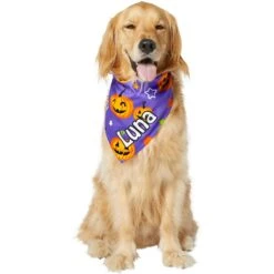 Frisco Halloween Pumpkins Personalized Dog & Cat Bandana 16 Frisco Halloween Pumpkins Personalized Dog & Cat Bandana -Frisco 242815 PT6. AC SS1800 V1618509475