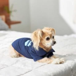 Frisco Dog & Cat Polo Shirt With Accent Pocket -Frisco 248880 PT7. AC SS1800 V1644960683