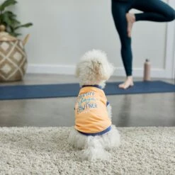Frisco Mama's Yoga Pawtner Dog & Cat T-Shirt -Frisco 248966 PT7. AC SS1800 V1614201756