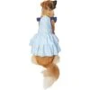 Frisco Blue Daisies Dog & Cat Dress 1 Frisco Blue Daisies Dog & Cat Dress -Frisco 249045 MAIN. AC SS1800 V1644449215