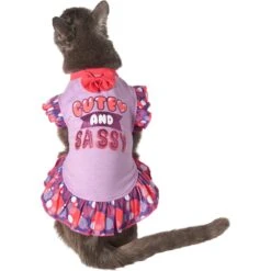 Frisco Cute & Sassy Dog & Cat Dress -Frisco 249073 PT2. AC SS1800 V1644959826