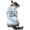 Frisco Life Is Wag Worthy Tiedye Print Dog & Cat Hoodie -Frisco 249094 MAIN. AC SS1800 V1614362076