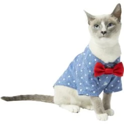Frisco Polka Dot Chambray Dog & Cat Button Up Shirt -Frisco 249162 PT2. AC SS1800 V1614202882