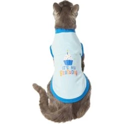 Frisco It's My Birthday & Cat T-Shirt -Frisco 249249 PT2. AC SS1800 V1624604252