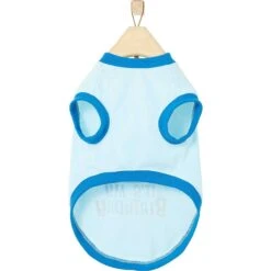 Frisco It's My Birthday & Cat T-Shirt -Frisco 249249 PT4. AC SS1800 V1624612661