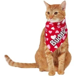 Frisco XOXO Hearts Personalized Dog & Cat Bandana 18 Frisco XOXO Hearts Personalized Dog & Cat Bandana -Frisco 254203 PT7. AC SS1800 V1632417974