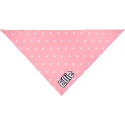 Frisco Polka Dot Personalized Dog & Cat Bandana -Frisco 254223 PT2. AC SS1800 V1632671773