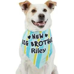 Frisco Big Brother Personalized Dog & Cat Bandana 17 Frisco Big Brother Personalized Dog & Cat Bandana -Frisco 254231 PT6. AC SS1800 V1633071398