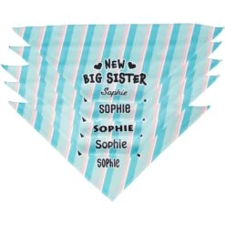 Frisco Big Sister Personalized Dog & Cat Bandana 15 Frisco Big Sister Personalized Dog & Cat Bandana -Frisco 254235 PT4. AC SS1800 V1619558530