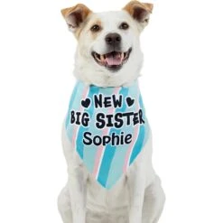 Frisco Big Sister Personalized Dog & Cat Bandana 17 Frisco Big Sister Personalized Dog & Cat Bandana -Frisco 254235 PT6. AC SS1800 V1619558258