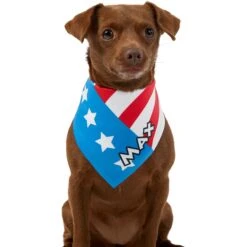Frisco Americana Personalized Dog & Cat Bandana 16 Frisco Americana Personalized Dog & Cat Bandana -Frisco 254239 PT6. AC SS1800 V1619558231