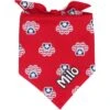Frisco Patriotic Paws Personalized Dog & Cat Bandana 1 Frisco Patriotic Paws Personalized Dog & Cat Bandana -Frisco 254243 MAIN. AC SS1800 V1619560378