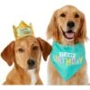 Frisco Happy Birthday Dog & Cat Crown & Frisco Dog & Cat Birthday Bandana 2 Frisco Happy Birthday Dog & Cat Crown & Frisco Dog & Cat Birthday Bandana -Frisco 255523 MAIN. AC SS1800 V1603716093