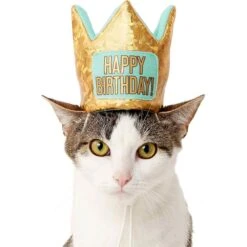 Frisco Happy Birthday Dog & Cat Crown & Frisco Dog & Cat Birthday Bandana -Frisco 255523 PT2. AC SS1800 V1603716120