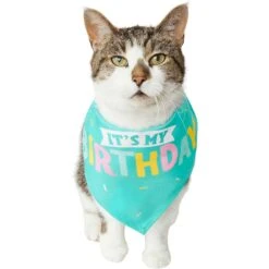 Frisco Happy Birthday Dog & Cat Crown & Frisco Dog & Cat Birthday Bandana -Frisco 255523 PT4. AC SS1800 V1603716120