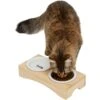 Frisco Double Elevated Cat Bowl With Wood Stand 1 Frisco Double Elevated Cat Bowl With Wood Stand -Frisco 256082 MAIN. AC SS1800 V1616509034