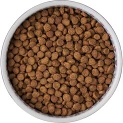 Frisco Kaleidoscope Pattern Non-skid Ceramic Dog & Cat Bowl 13 Frisco Kaleidoscope Pattern Non-skid Ceramic Dog & Cat Bowl -Frisco 256090 PT5. AC SS1800 V1615312887